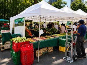 cyclosporiasis cases shoppers grocers michigan